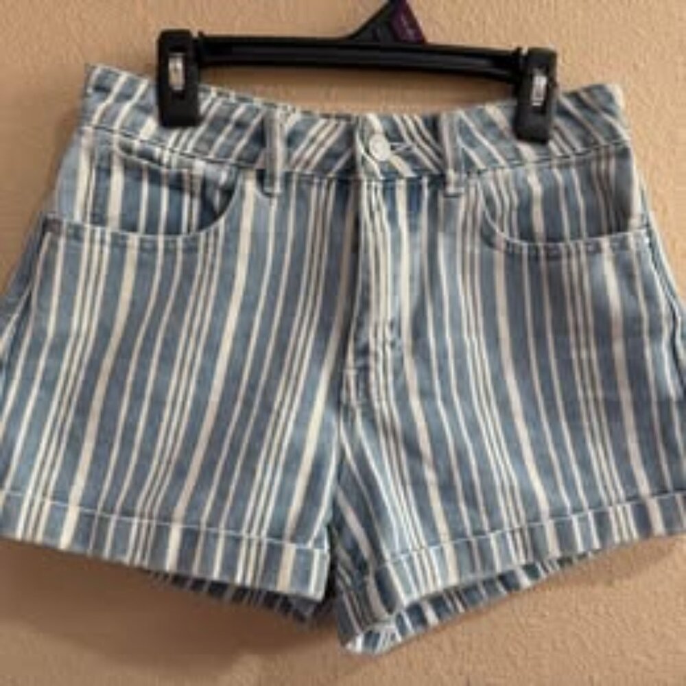 Pacsun Striped Mom Shorts Blue White Size 24